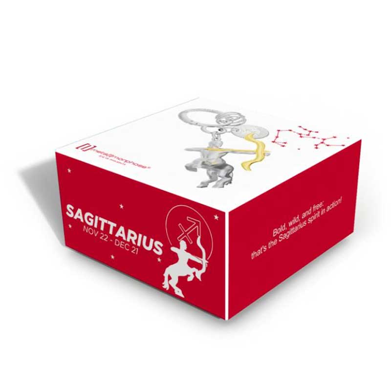 מחזיק מפתחות מזל קשת