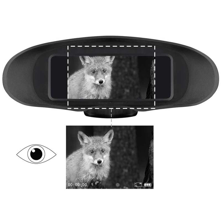 תצוגה חדה בשחור לבן