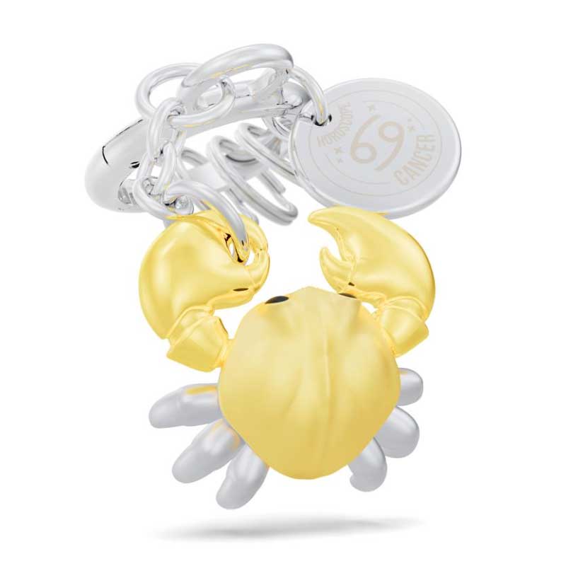 מחזיק מפתחות למזל סרטן