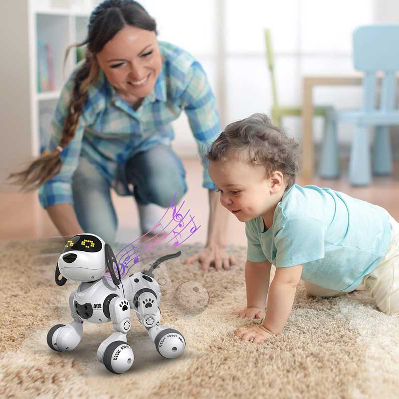 כלב רובוטי לילדים Dexterity