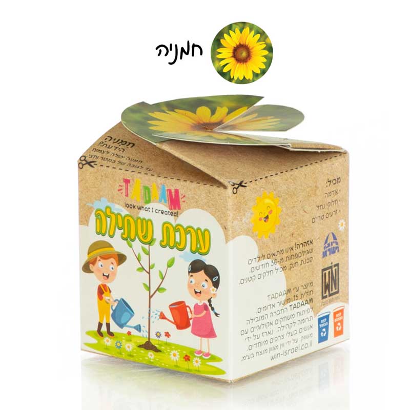 ערכת שתילה חמניה