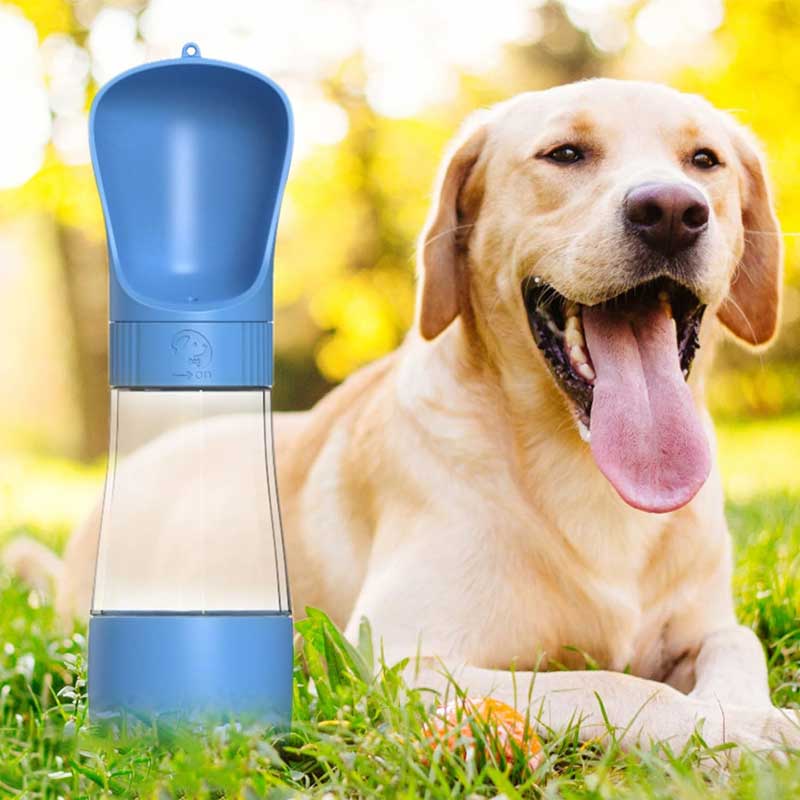 בקבוק שתייה ואוכל לכלבים כחול