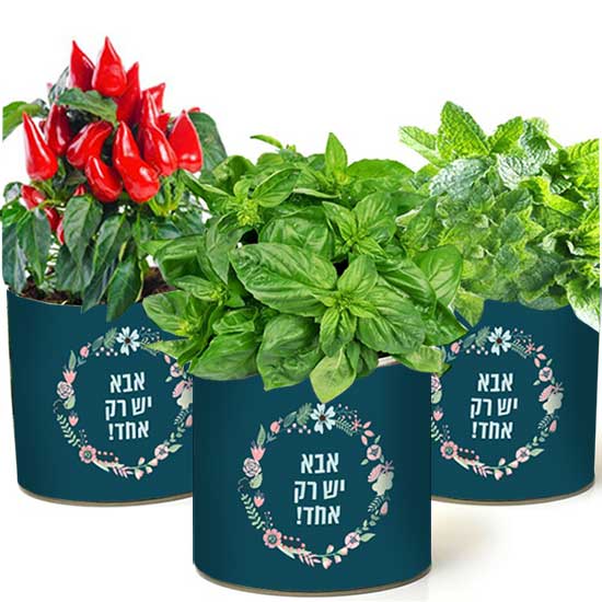 עציץ בפחית - אבא יש רק אחד