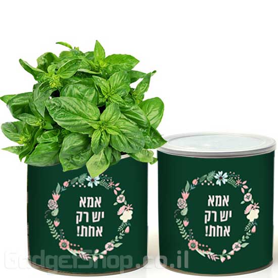 צמח בפחית - אמא יש רק אחת