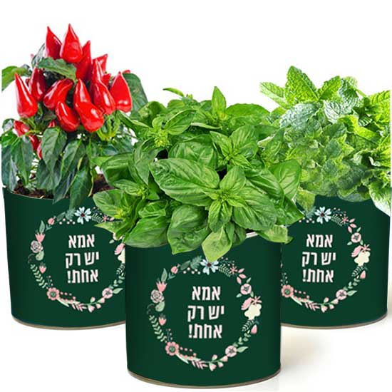 עציץ בפחית אמא יש רק אחת