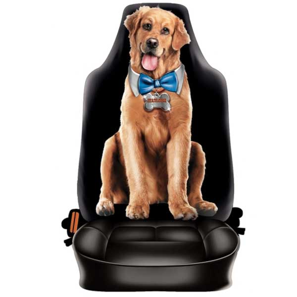 ריפוד מקורי לרכב