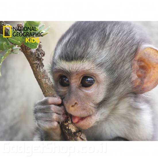 פאזל תלת מימד 63 חלקים קופיף National Geographic