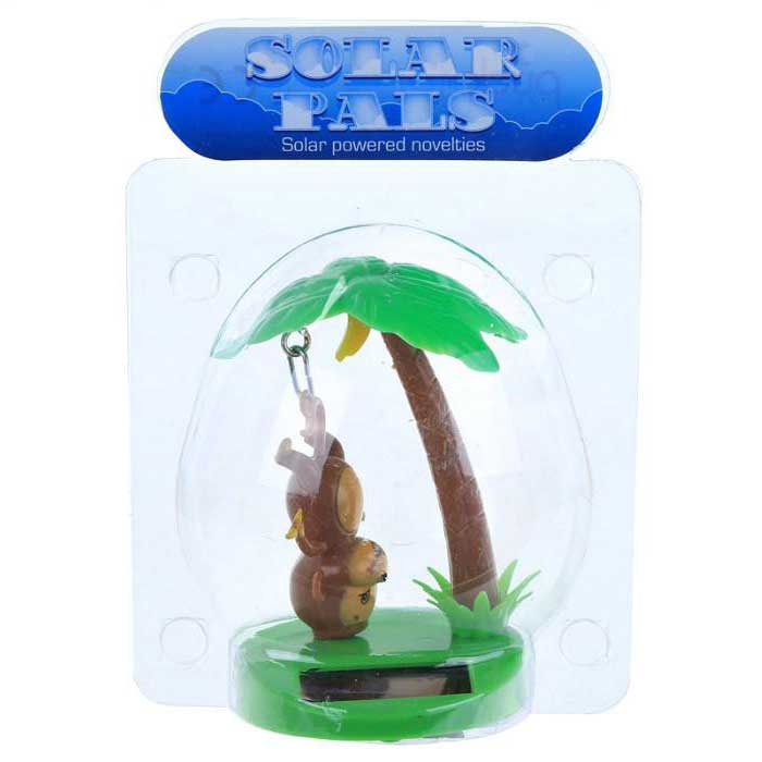 רקדן סולארי קופיף מתנדנד על עץ