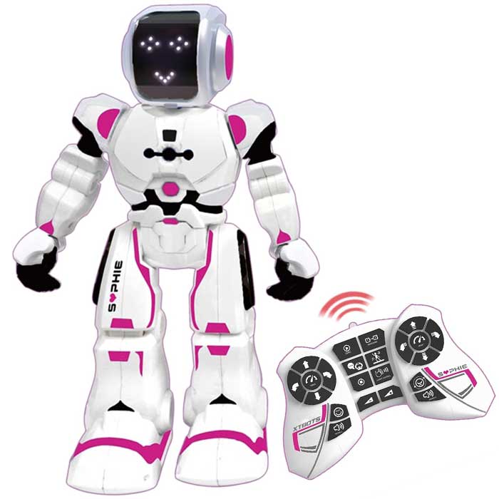 רובוטית ניתנת לתכנות - סופי