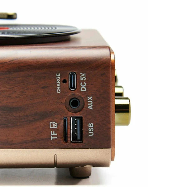 רמקול רטרו דמוי פטיפון עם בלוטוס ורדיו