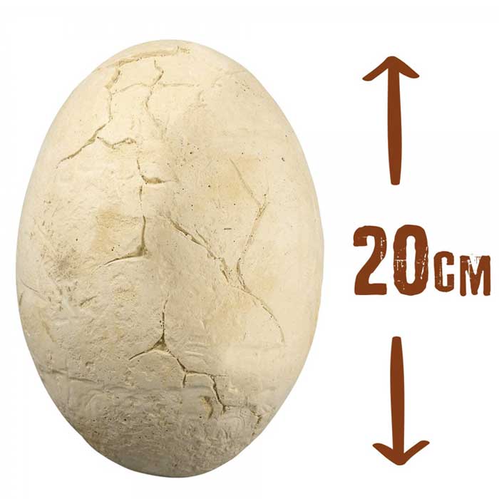ביצת מגה דינו 20 ס"מ