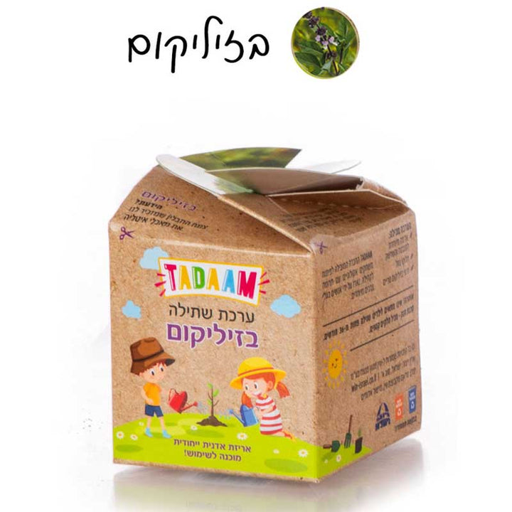ערכת שתילה מדליקה לצמחי תבלין