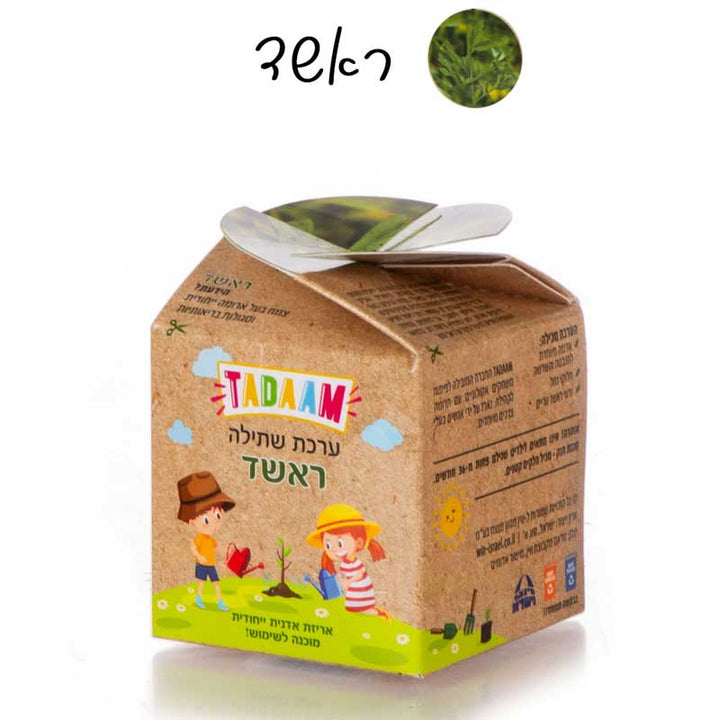 ערכת שתילה מדליקה לצמחי תבלין