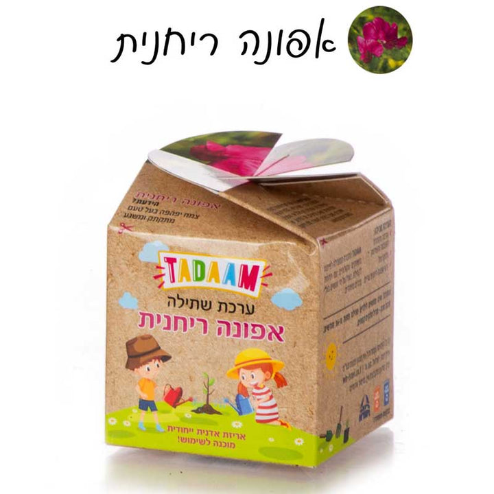 ערכת שתילה מדליקה לצמחי תבלין