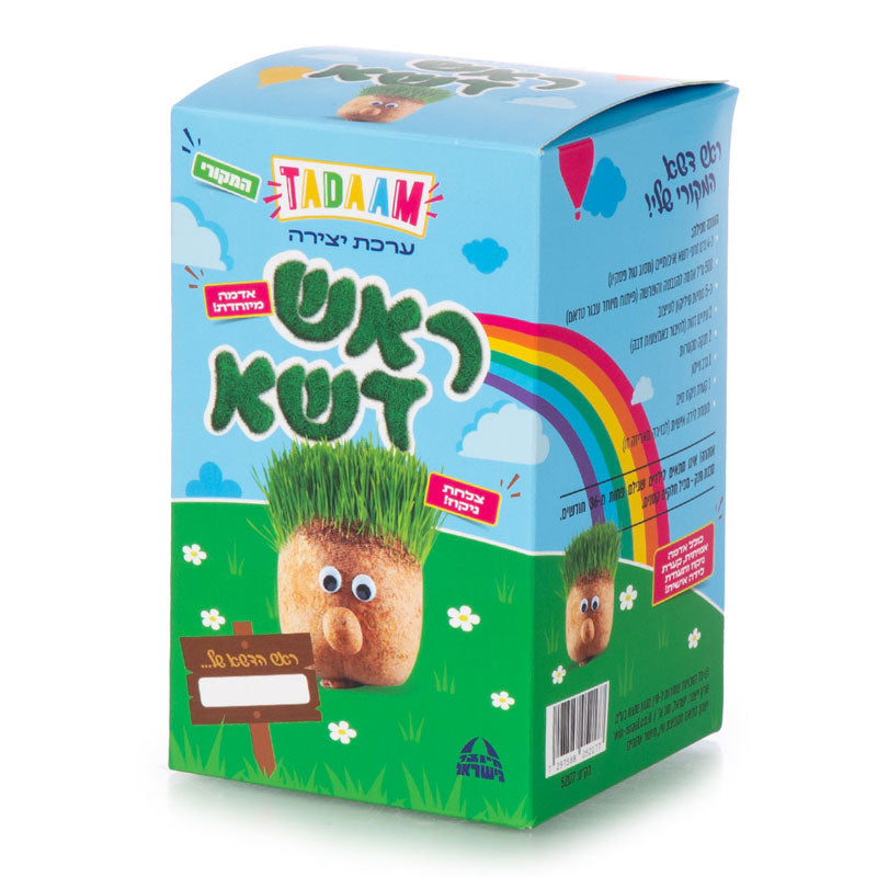 ערכת יצירה ראש דשא לילדים