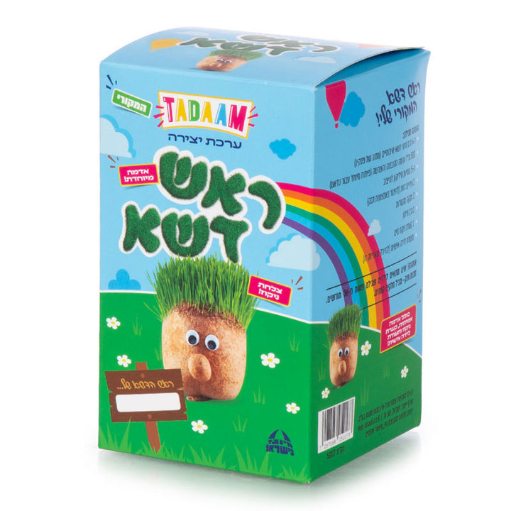 ערכת יצירה ראש דשא לילדים