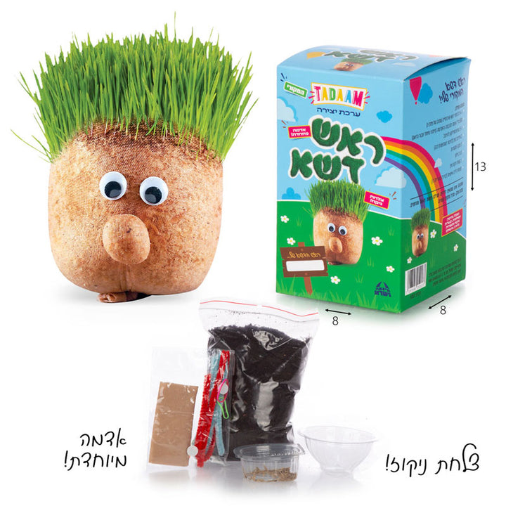 ערכת יצירה ראש דשא לילדים