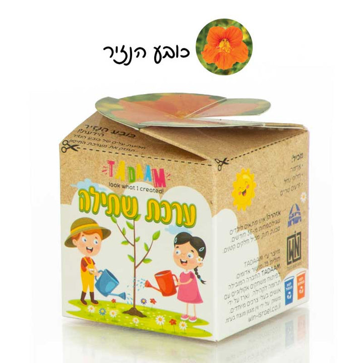 מתנה לילדים בגן: ערכת שתילה
