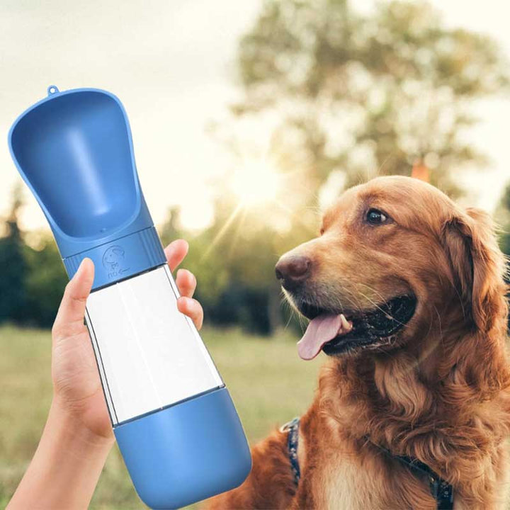 מימיה ומזון לטיול לכלבים
