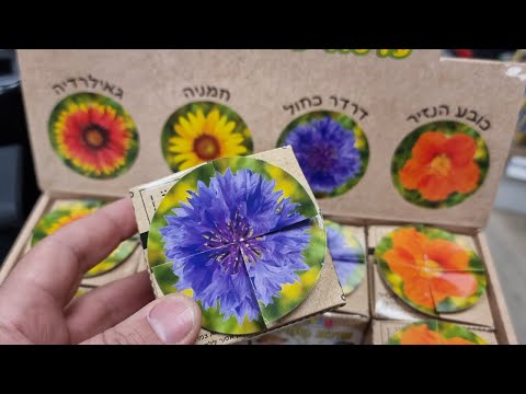 ערכת שתילה לילדים