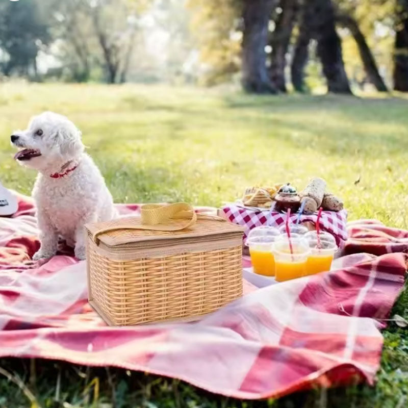 צידנית אישית בעיצוב ראטן