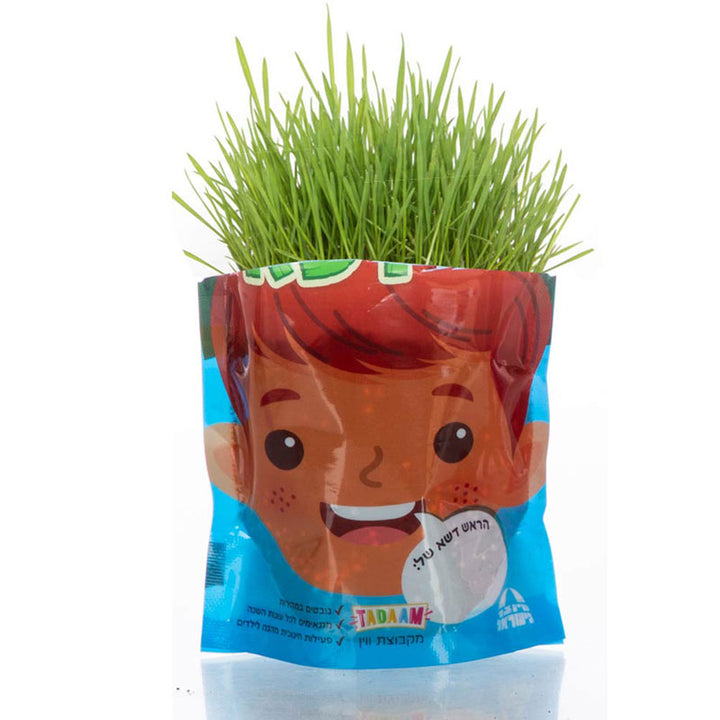 ראש דשא לבן