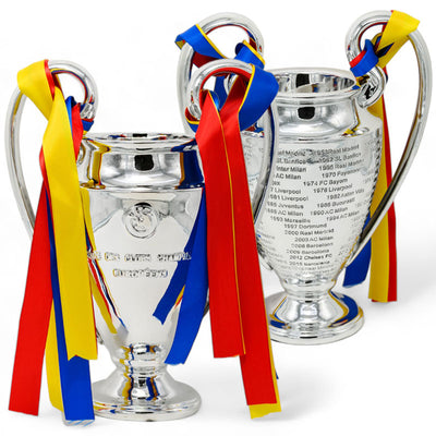 גביע אליפות כסוף ענק 42 ס"מ