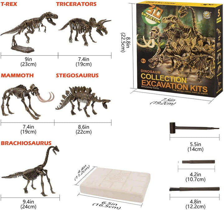 ערכת חפירה וארכיאולוגיה – דינוזאורים