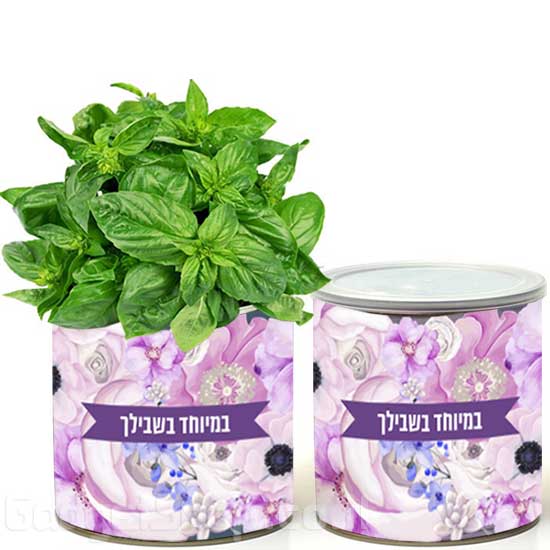 צמח בפחית - במיוחד בשבילך