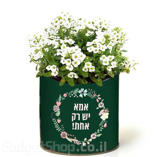 מתנה ליום האישה
