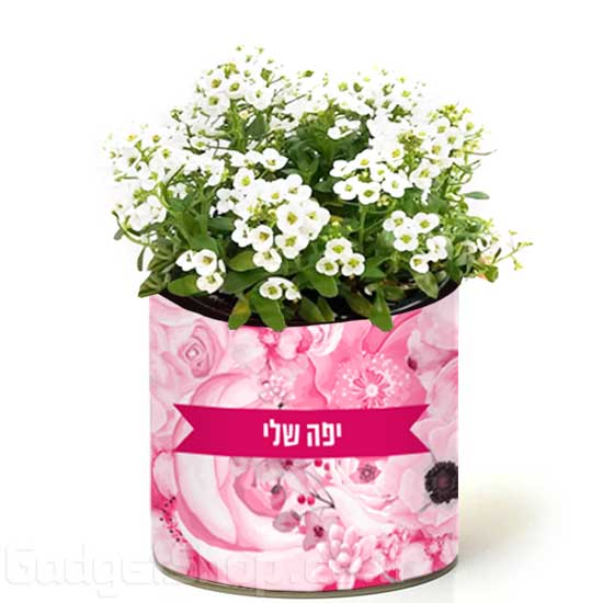 מתנה ליום האישה
