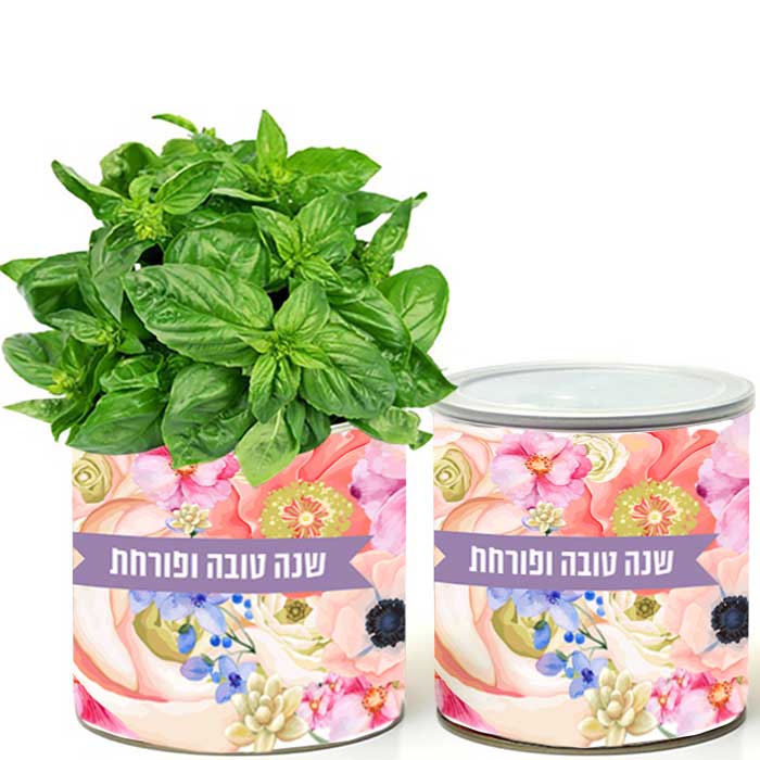 צמח בפחית שנה טובה ופורחת