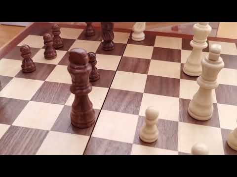לוח שחמט מתקפל