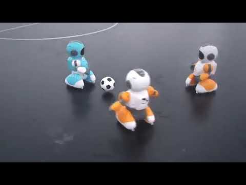 רובוט כדורגל ערכה זוגית SMART