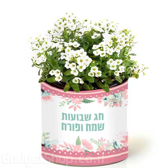 מתנה ליום האישה
