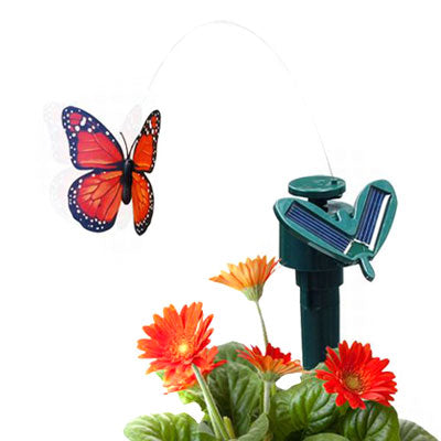 פרפר סולארי מעופף - Solar Butterfly